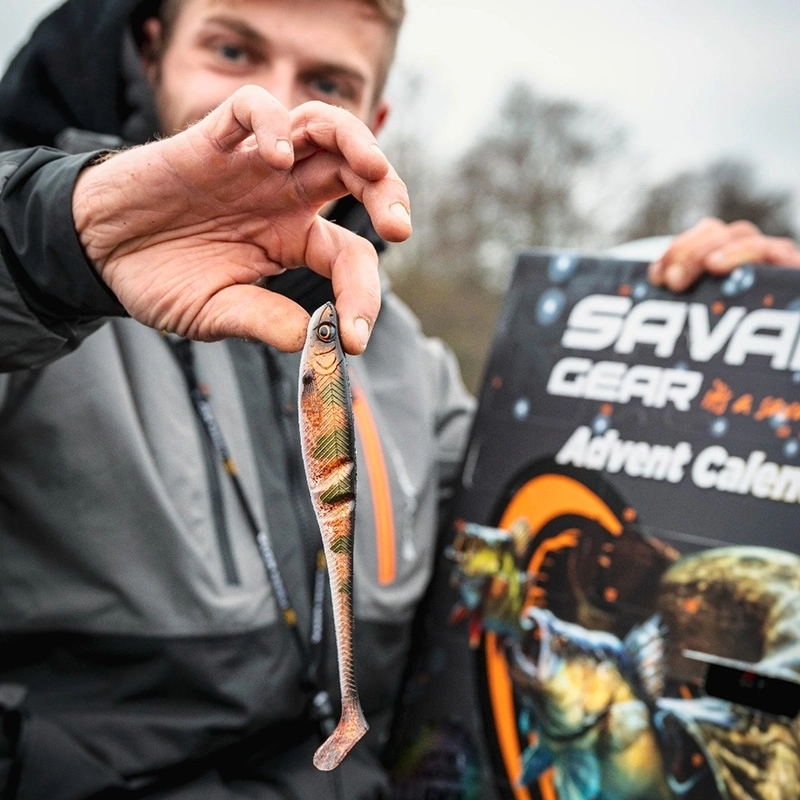 Savage Gear Advent Calendar